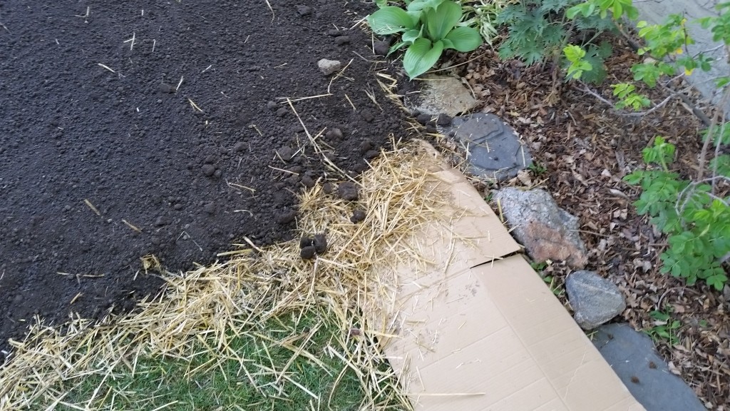 layers of a lasagna lawn 