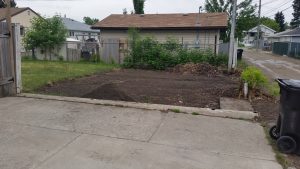General landscaping for gallery