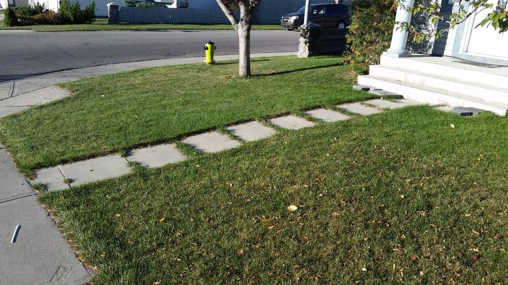 Brick Walkway before for gallery patio