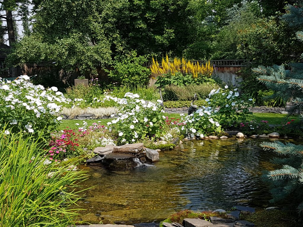 Duck pond and garden to enjoy the beauty