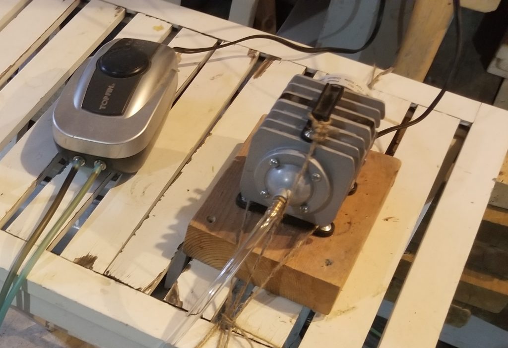 Compost tea set up