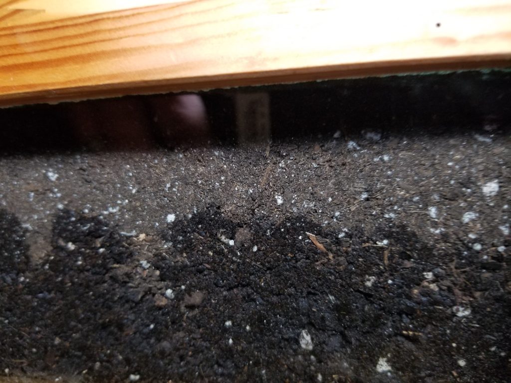 wicking beds