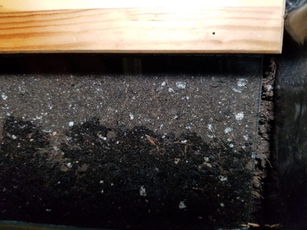 wicking midway wicking beds
