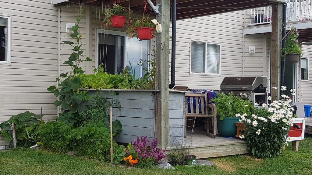 raised garden bed - enhanced