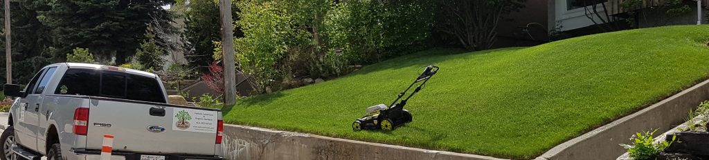 electric mower land care clean year round