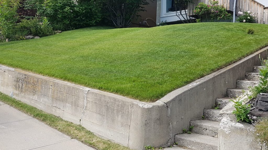 Organic Lawn Boost with Compost