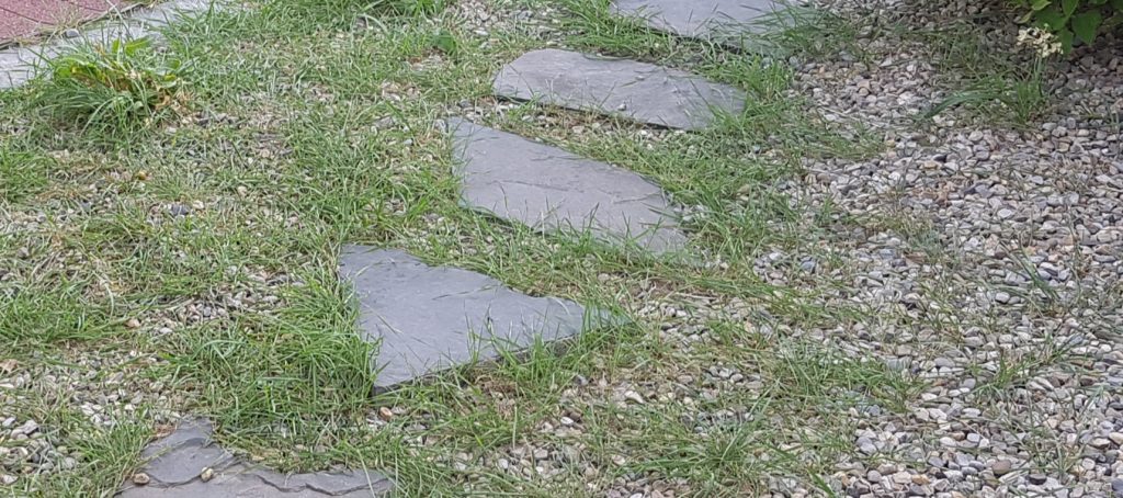 grass growing through rock mulch