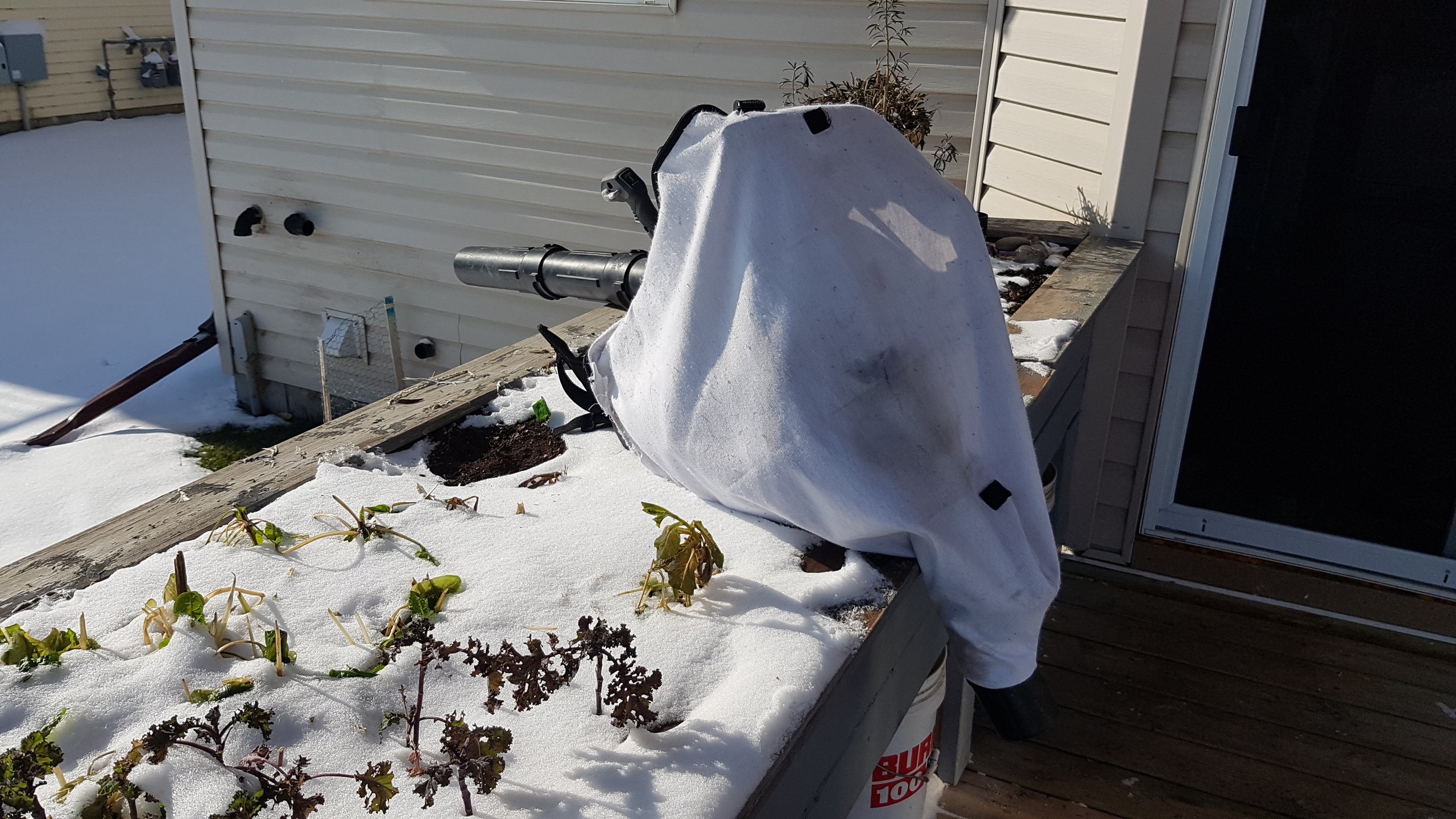 land care clean