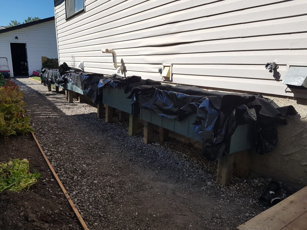 wicking beds piped together
