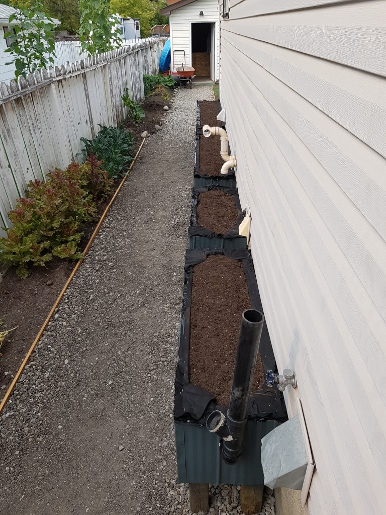 wicking beds piped together