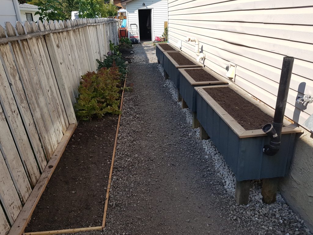 wicking beds piped together