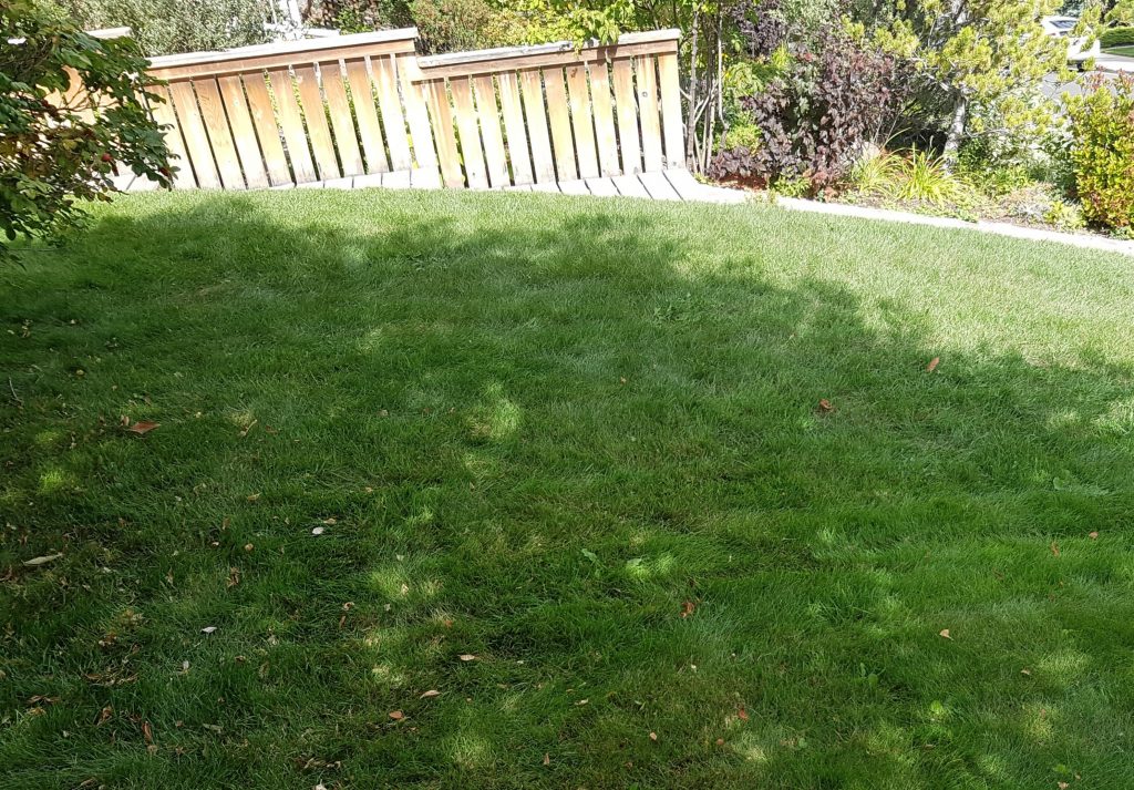 organic land care