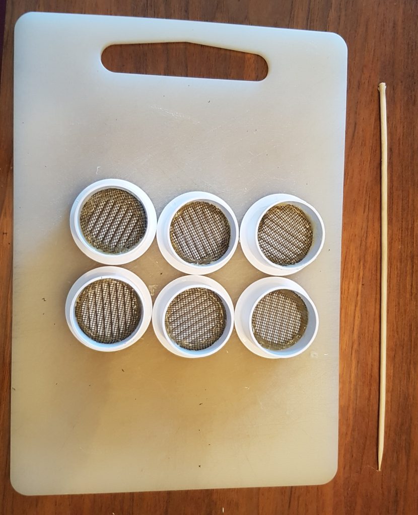 Build your own worm composting bin in 5 steps