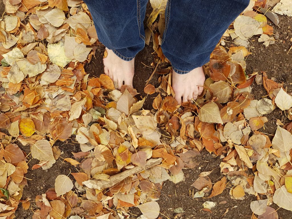 grounding / earthing