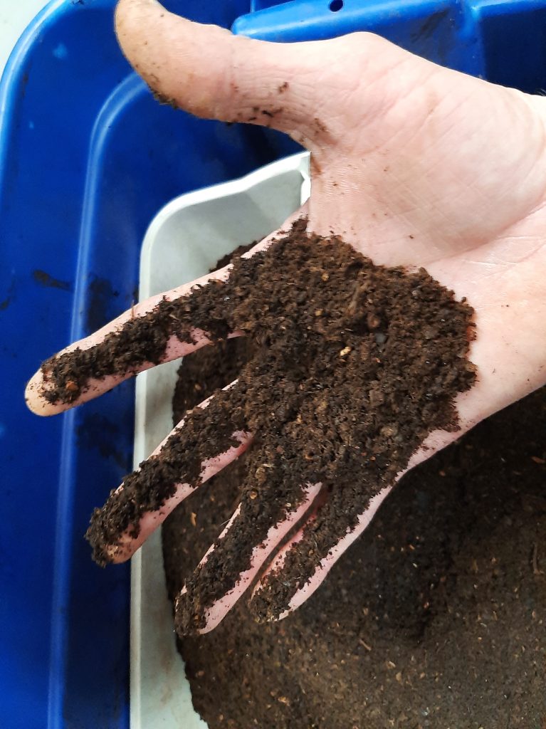 indoor winter composting with worms