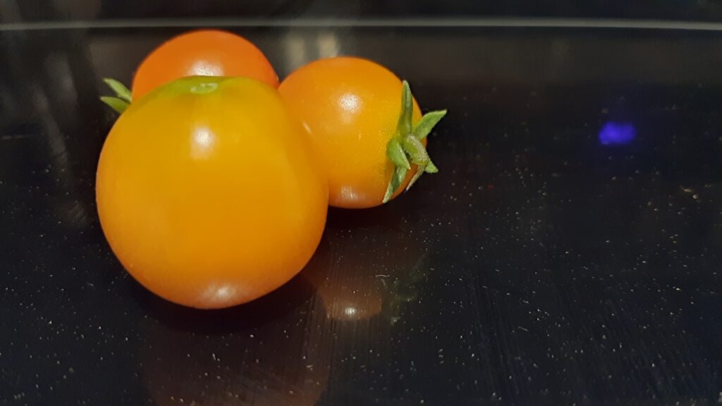 grow your own food - Year 2