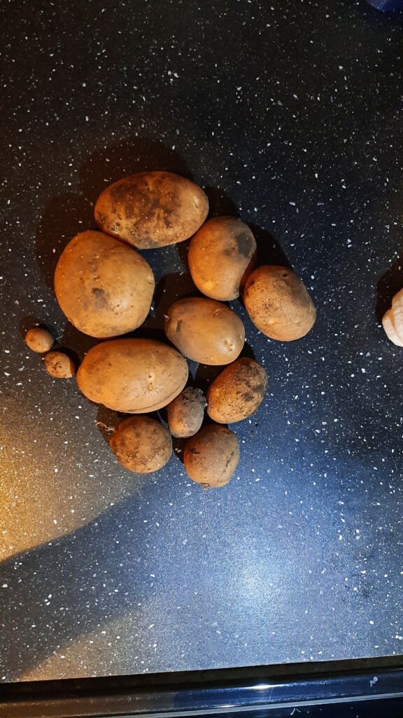 grow your own food - Year 2
Potatoes