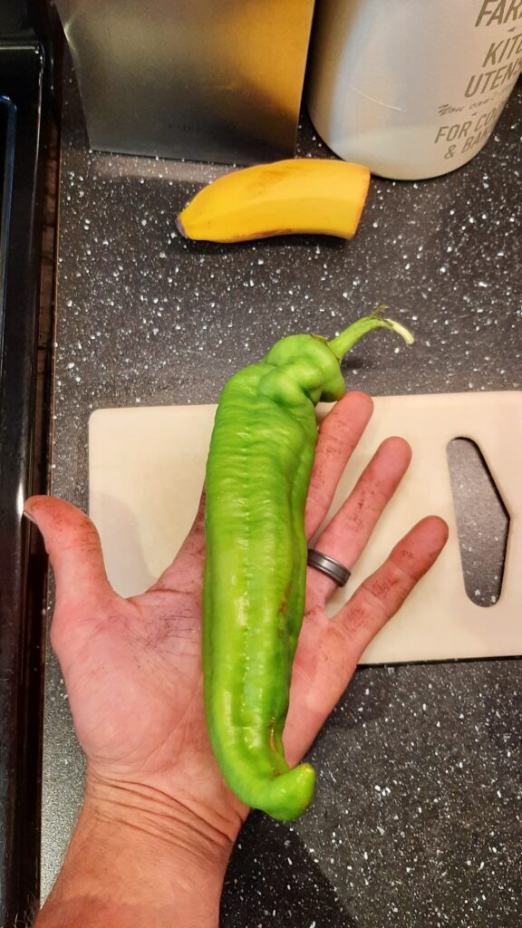 growing our own food