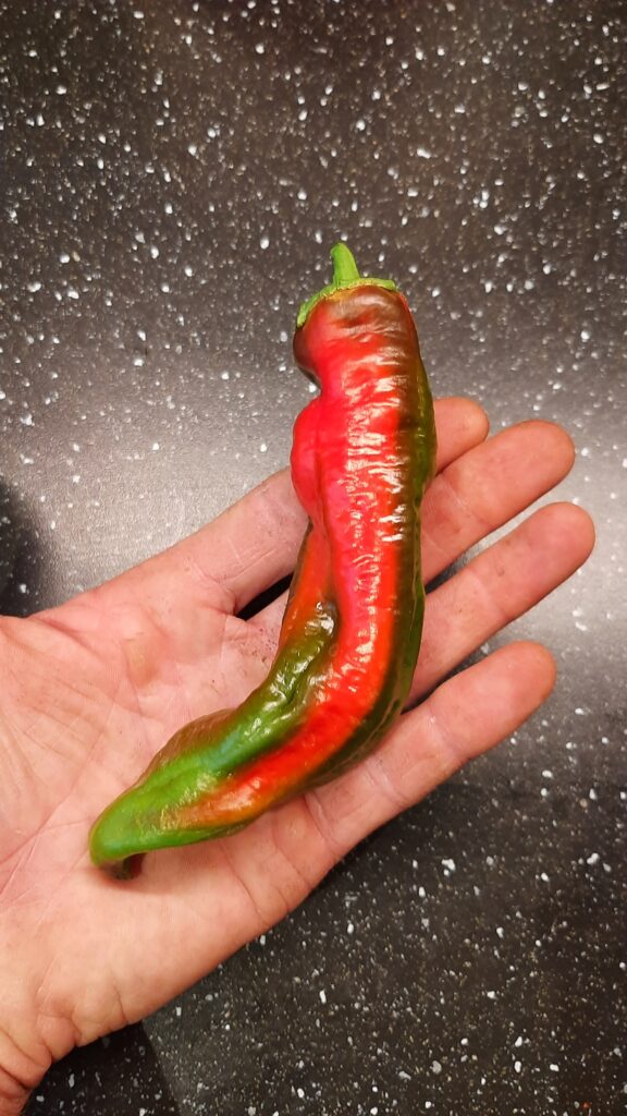 growing our own food