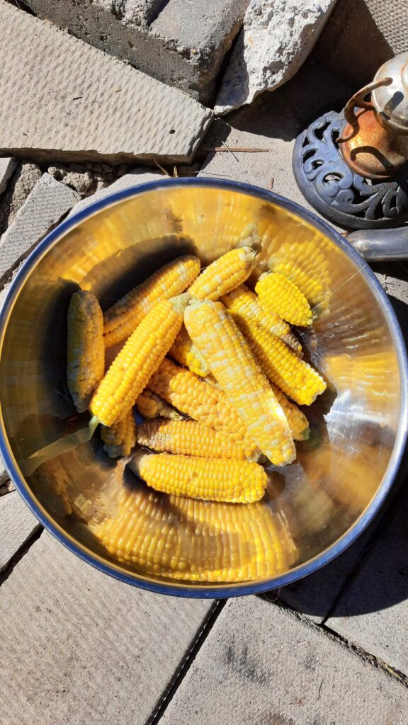 growing our own food