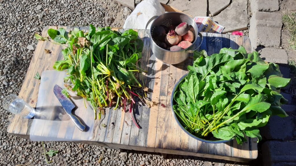 growing our own food