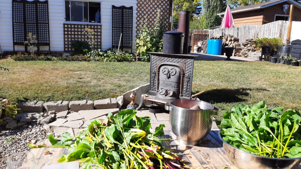 growing our own food