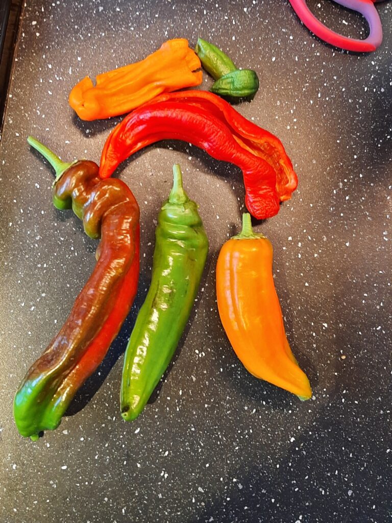growing our own food