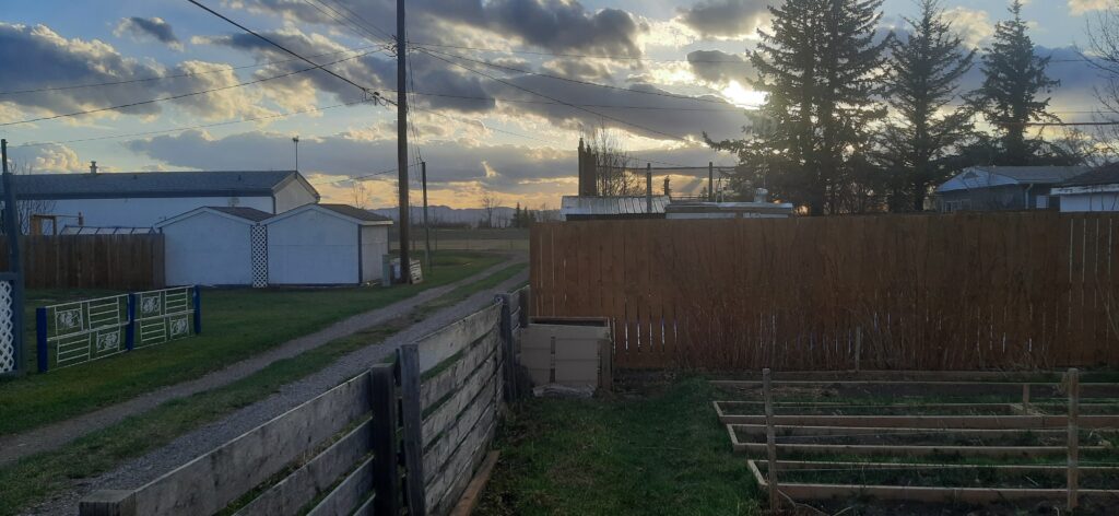 finding balance the first sunset in the garden