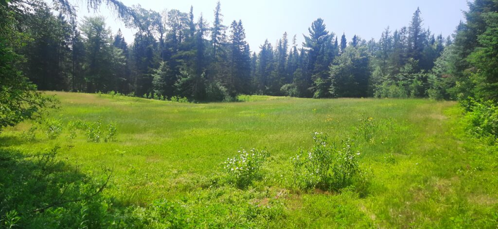 organic gardening - about me