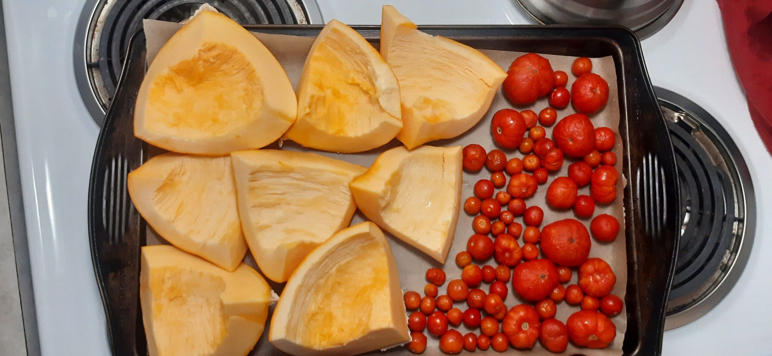 Squash or pumpkin and tomato soup