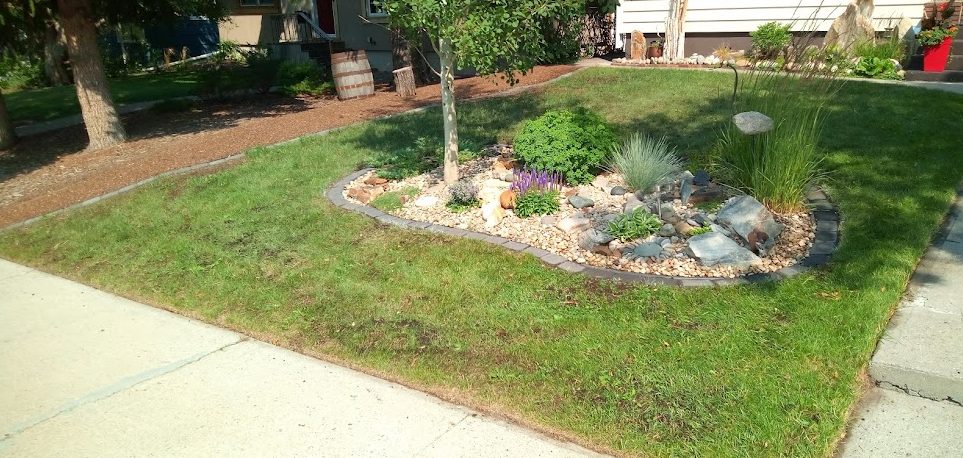 Organic Lawn Rejuvenations
