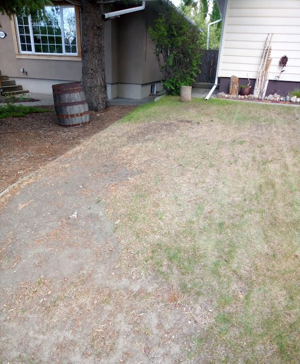 Organic Lawn Boost with Compost