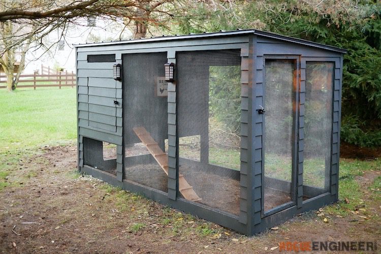 choosing a chicken coop design