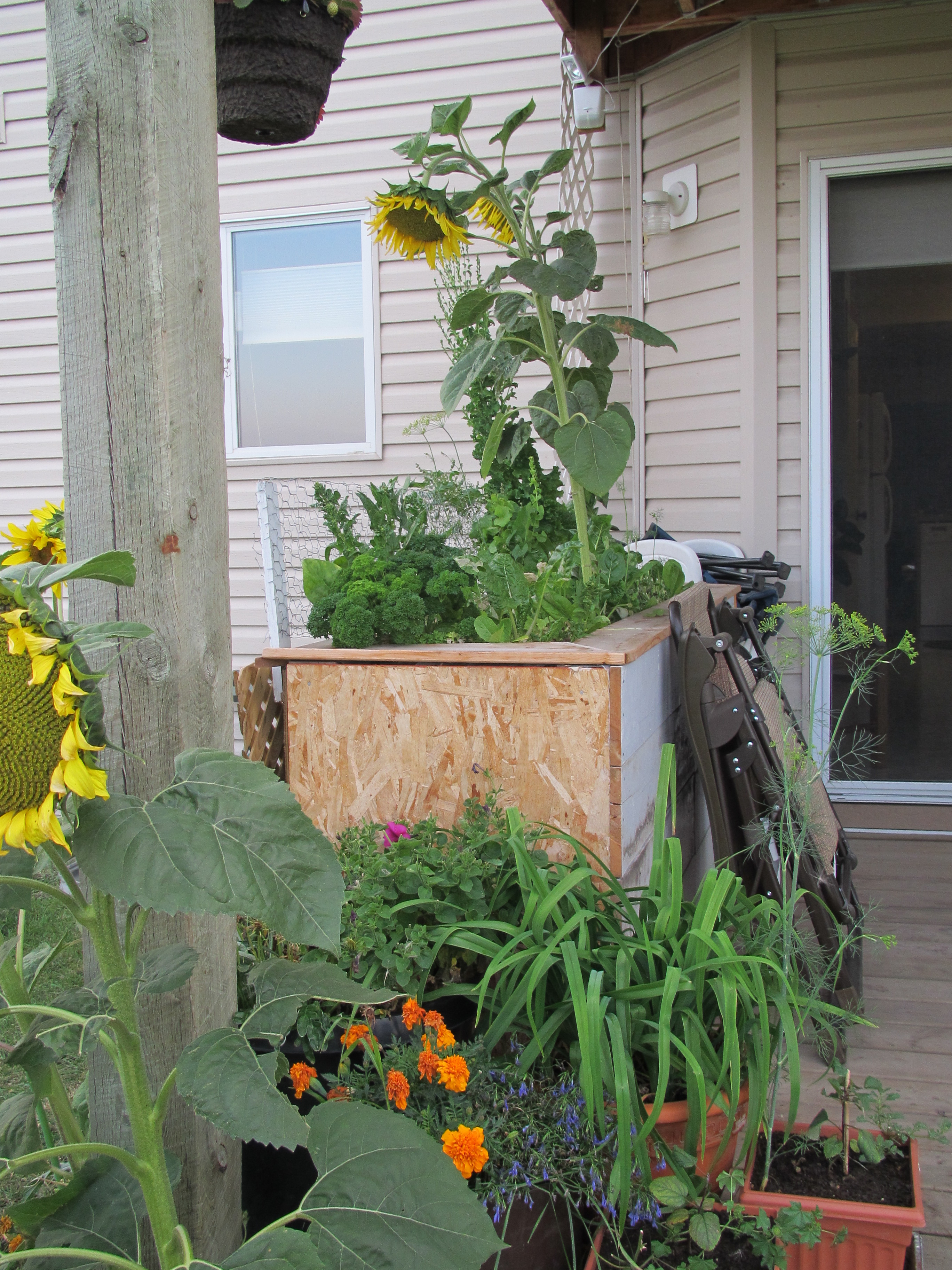 I never did get these hooked up to the down spout so I did have to fill up the reservoir manually, however, when I was going away for a week I could fill it up and not worry about it needing water.