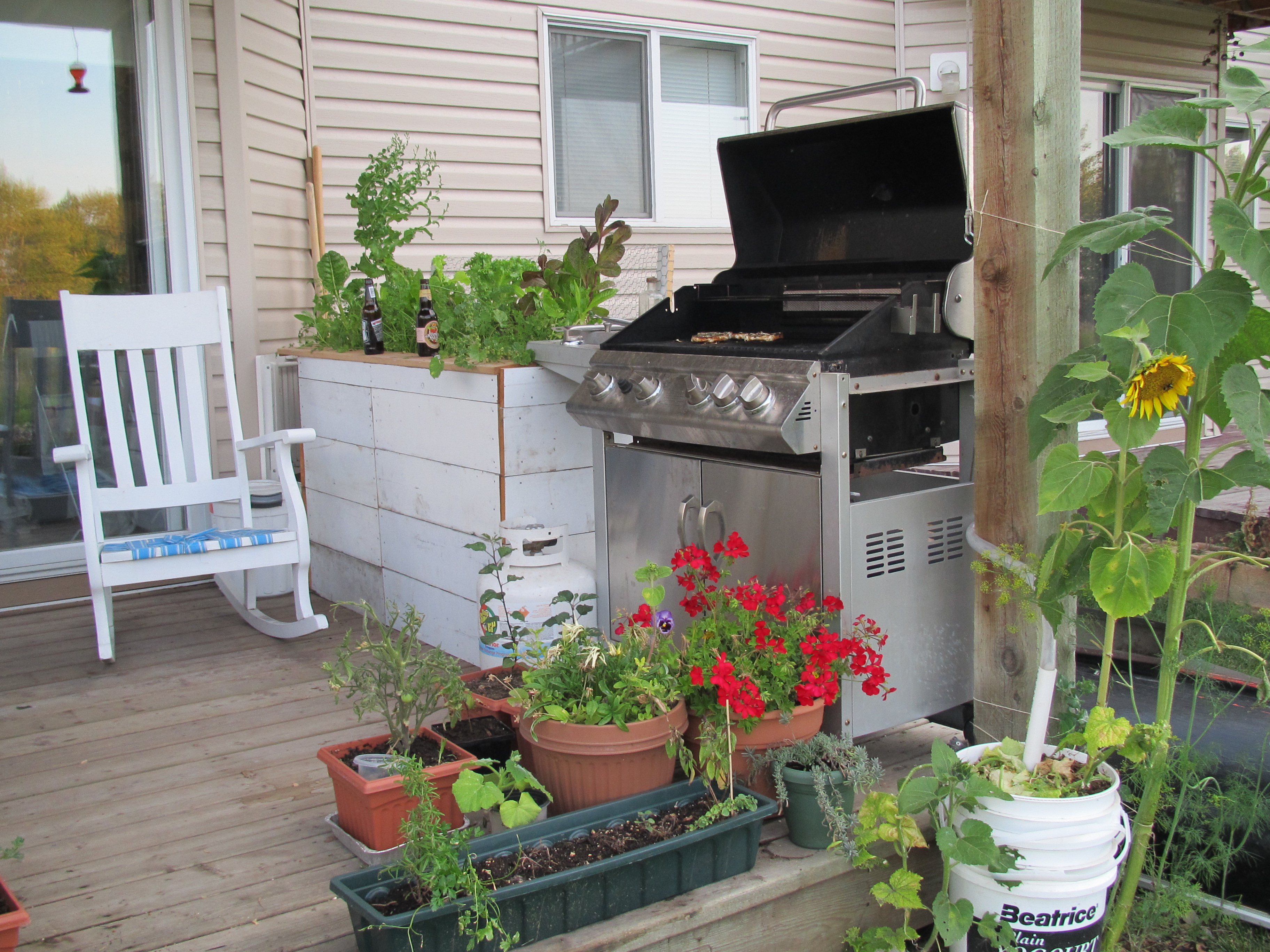 The other bed. Also a success. the prototype