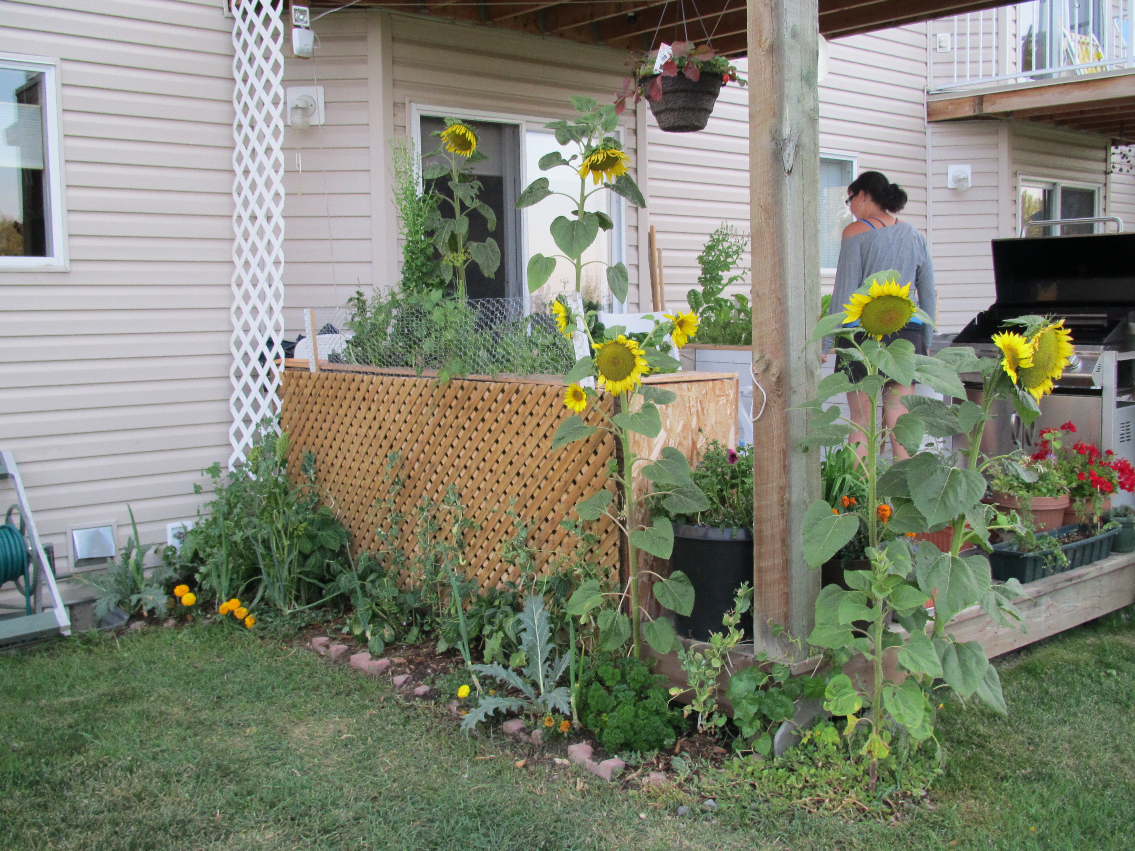 This is in September. We camped a lot that summer I remember. I never had to worry about it being watered. I would say a success.