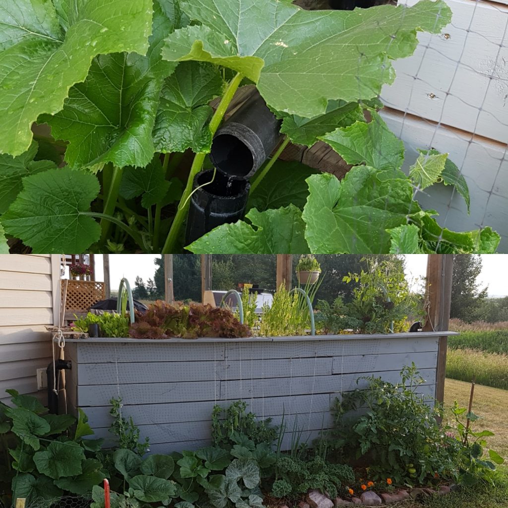 raised garden bed