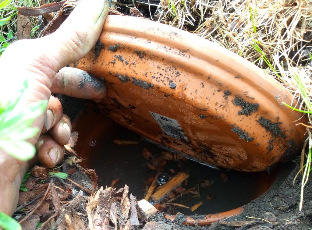 Water your Tucson Garden with an Olla - Local Yard & Garden Resources