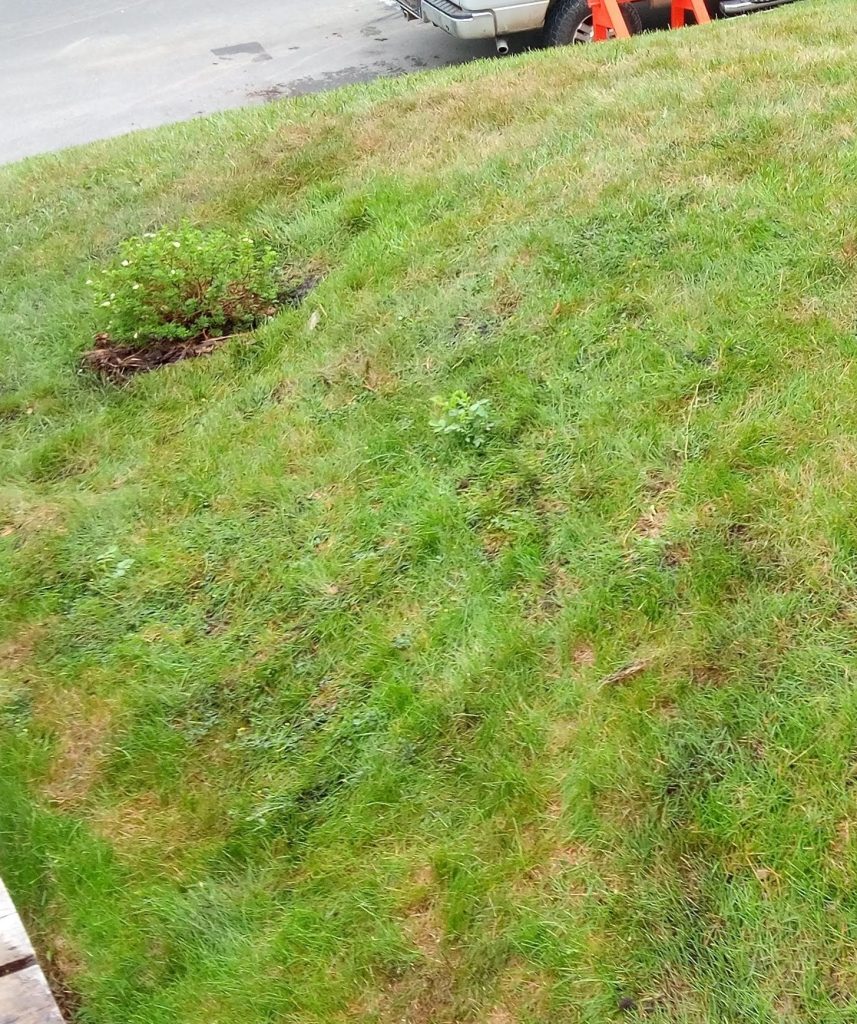 olla bowls save water