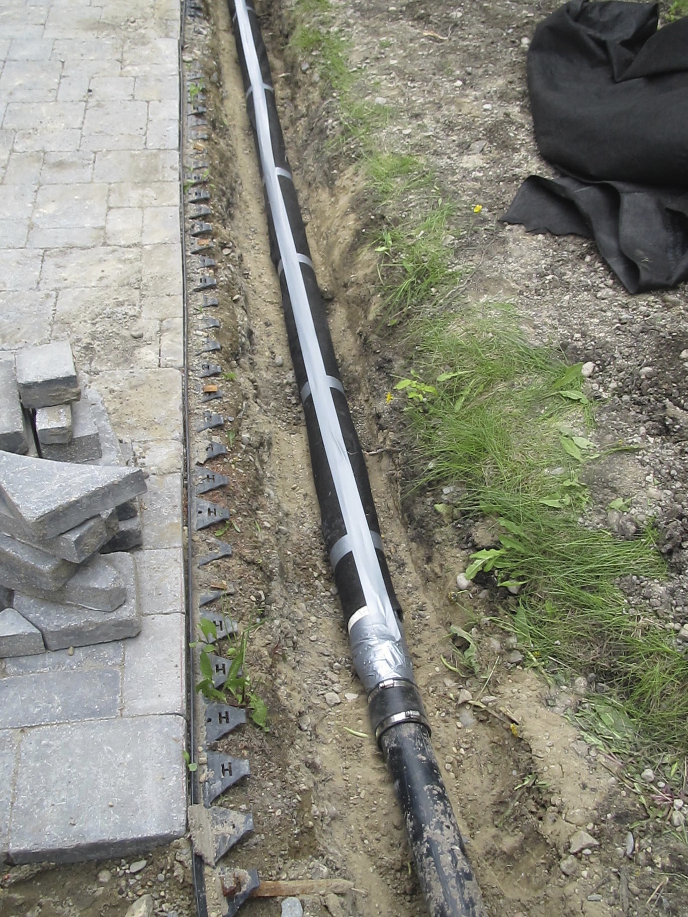 dogwood hedge drainage pipe wrapped