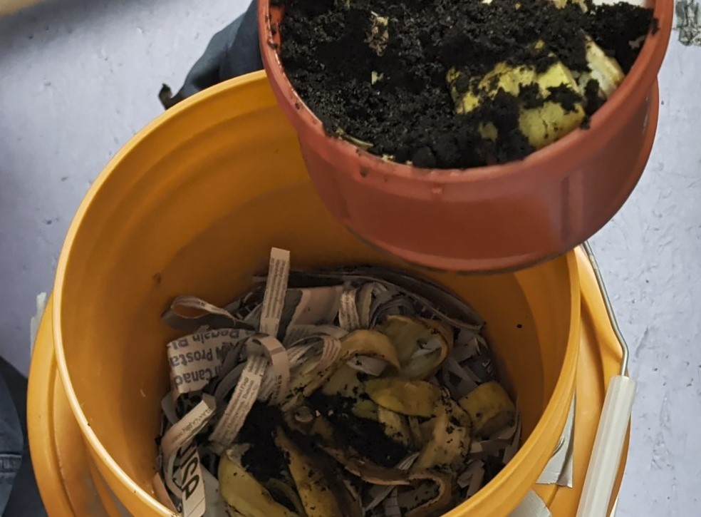 Harvesting Worms With A Worm Trap