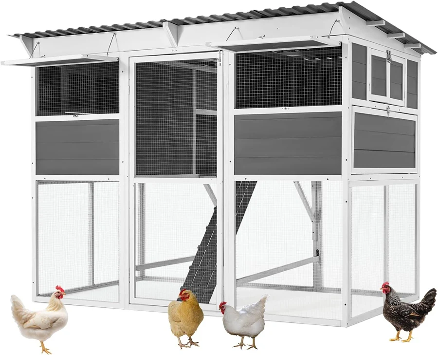 choosing a chicken coop design
