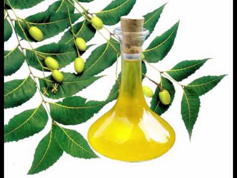 Neem oil