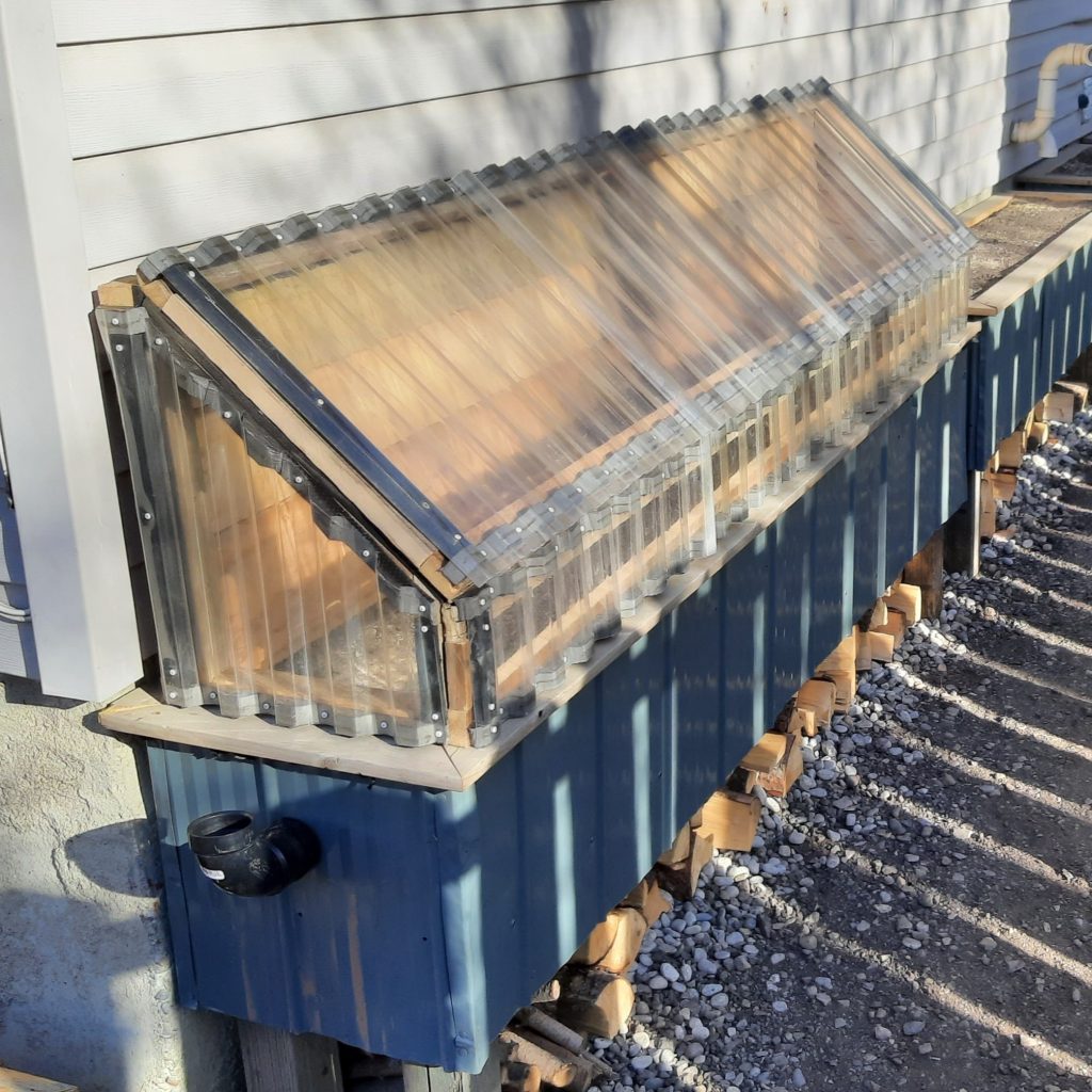 Wicking Beds With Greenhouse Tops