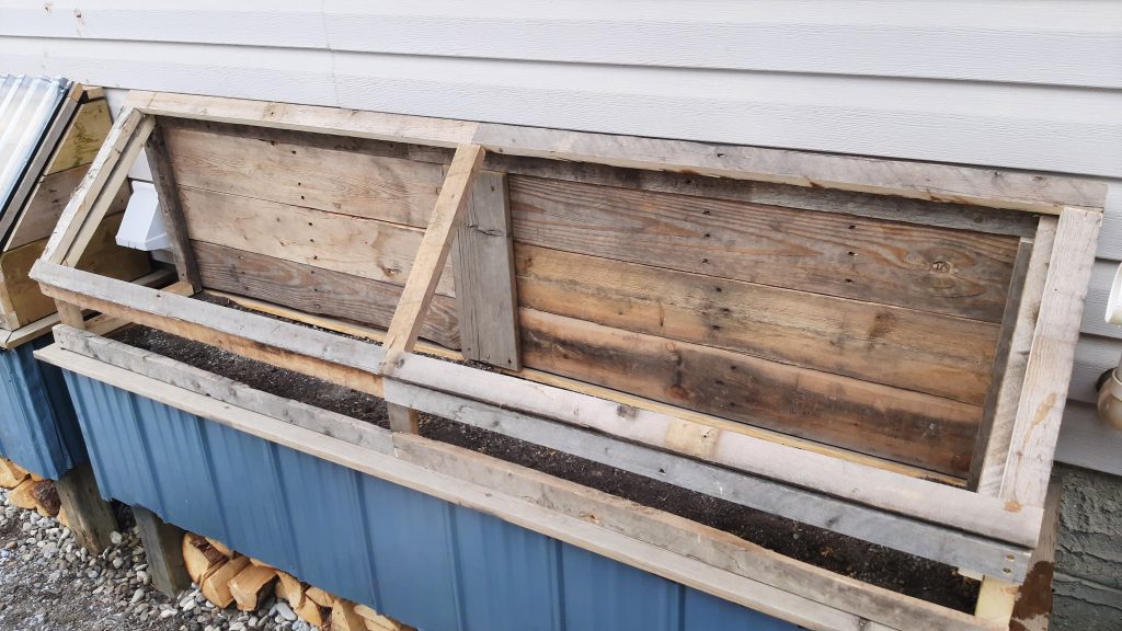 Wicking beds with Greenhouse Tops