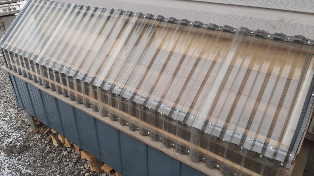 Wicking beds with Greenhouse Tops