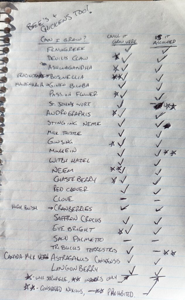 planning a new garden space the new list