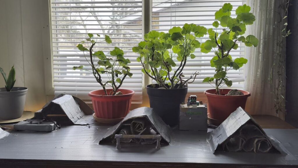 starting seeds with no space